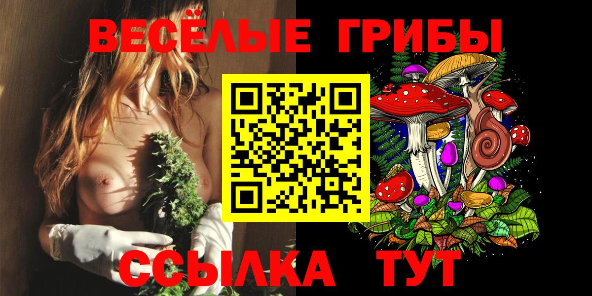 Галлюциногенные грибы прущие грибы Хабаровск